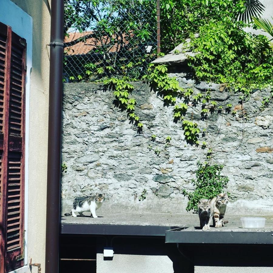 ドマーゾHouse Of Catsアパートメント エクステリア 写真