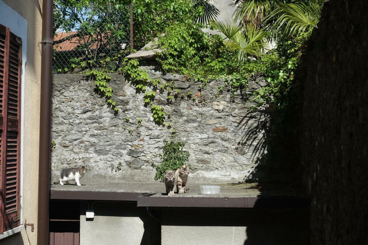 ドマーゾHouse Of Catsアパートメント エクステリア 写真